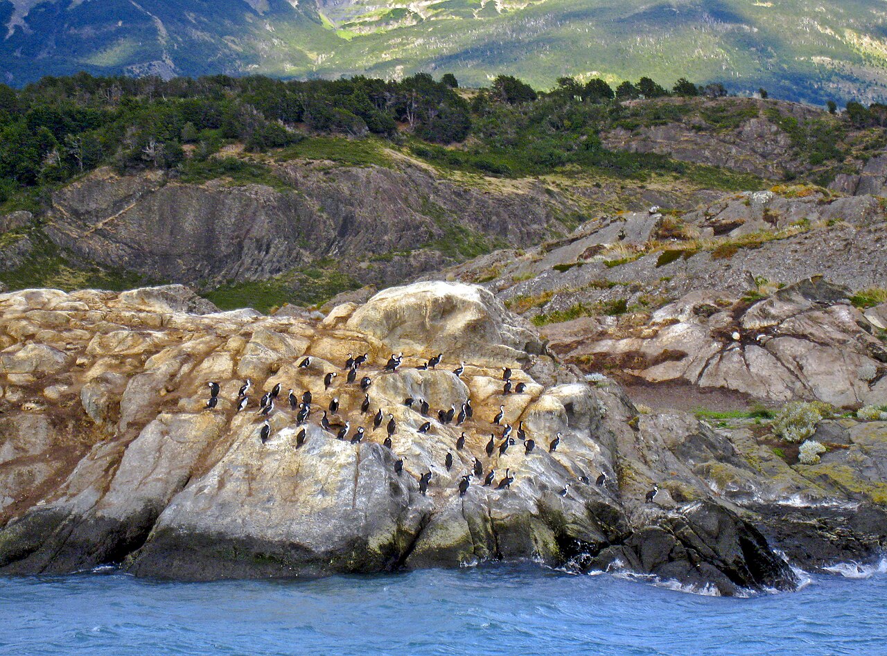 Patagonia
